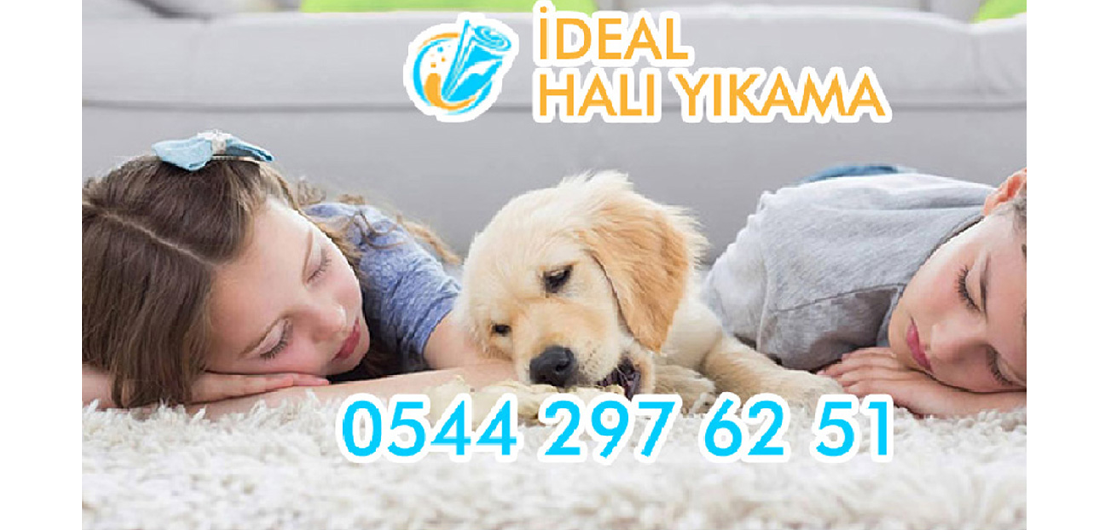 ideal hal ykama